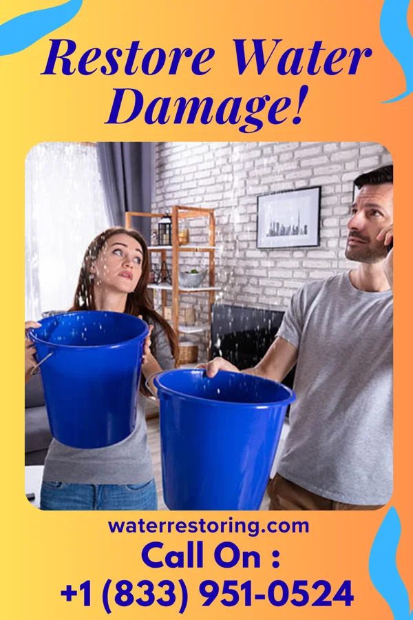 water restoration Patriot Water Removal Network Farmington