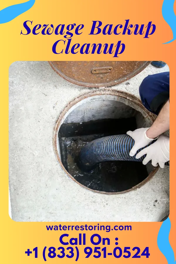 Sewage Backup Cleanup in Farmington, MO