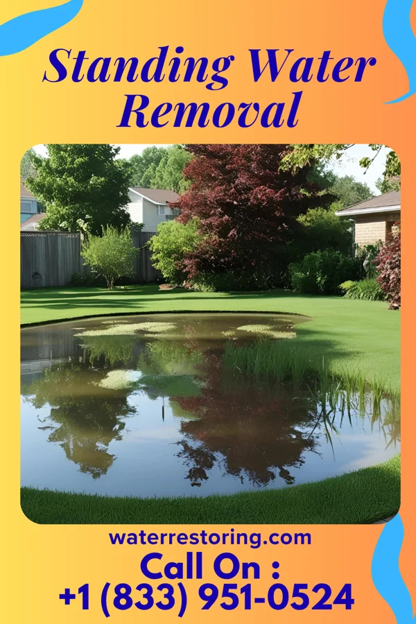 Standing Water Removal in Farmington, MO